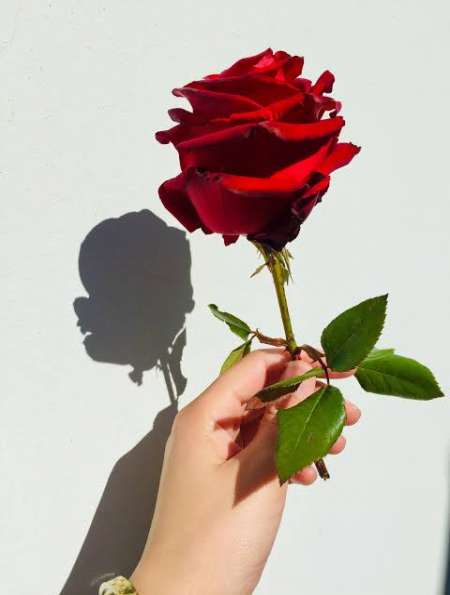 Deux hommes pour une femme