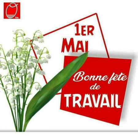 Coucou belmassagum