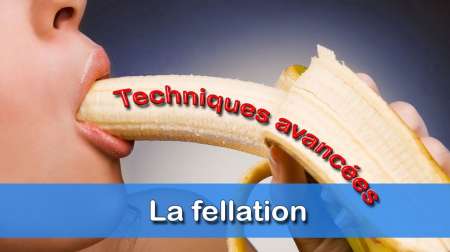 Homme cherche bonne fellatrice