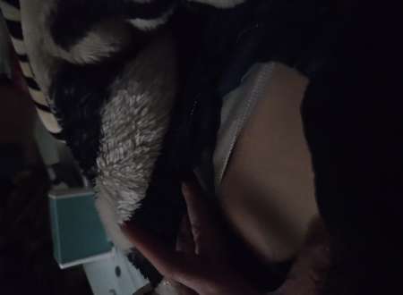 Jeune femme de 27 ans pour sexe photo....