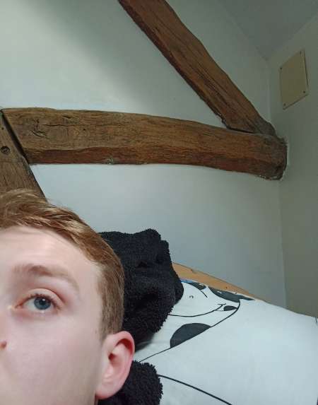 Jeune homme disponible pour tout désirs de Mesdame