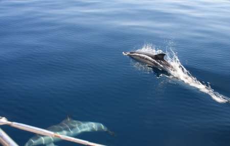 Croisière dans les îles grecques été