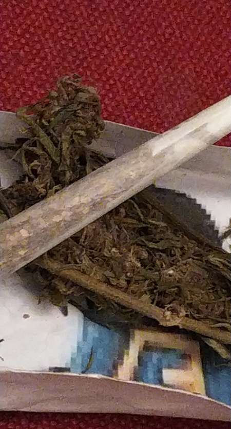 Pote de fumette voir