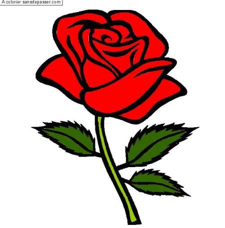 Jeune homme cherche cougar/ronde