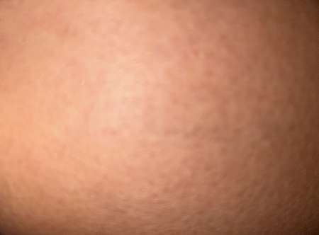 Culotté porte