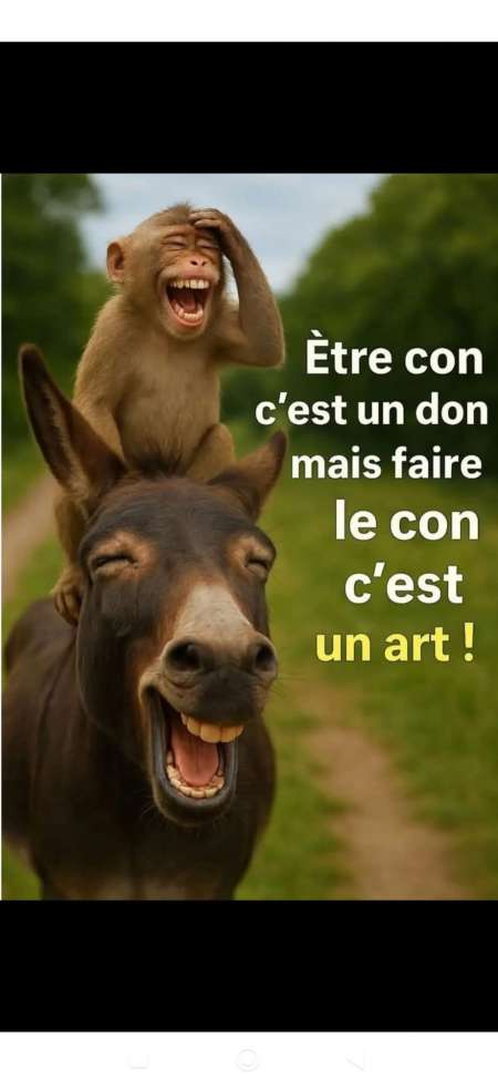 Rencontre femme mûre
