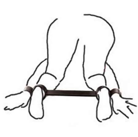 Chienne docile pour être montée.
