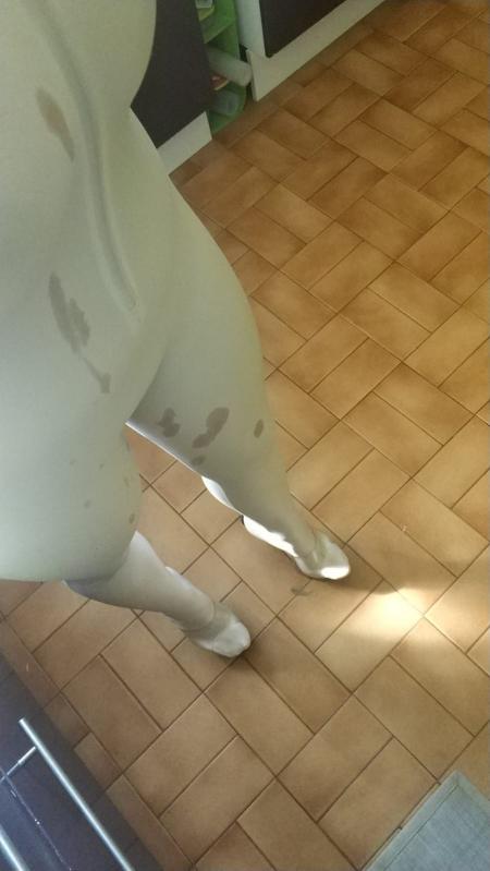 Fille cool pour rencontre cumshot