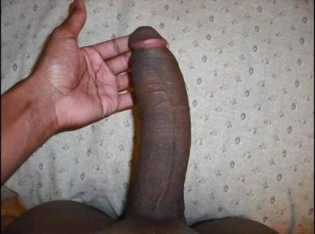 Black des Antilles sportif, bien monté